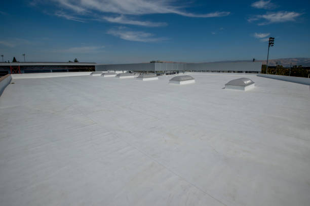 Best Metal Roofing Installation  in Phoenix, NY